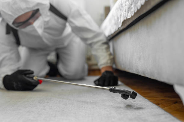 Professional Fumigation Services technician working in Macon County County, MO